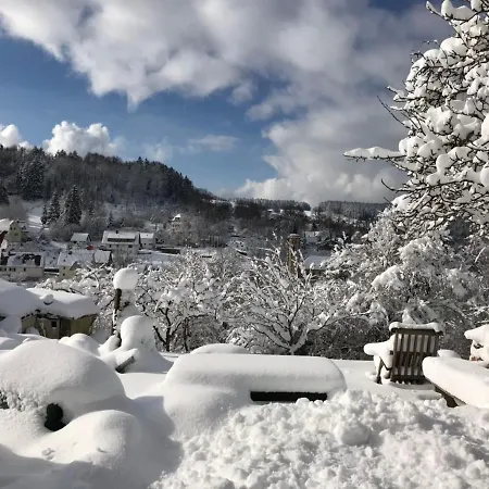 1zi Bis Zu 3 Personen Fuer Dienstreisende In Schwarzwald Loßburg