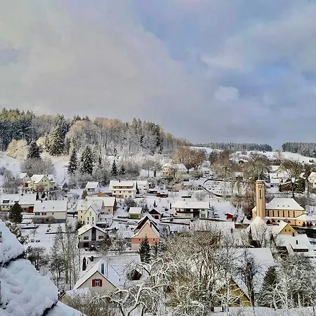 アパート 1zi Bis Zu 3 Personen Fuer Dienstreisende In Schwarzwald Loßburg