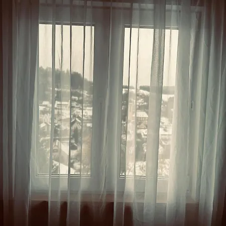 1zi Bis Zu 3 Personen Fuer Dienstreisende In Schwarzwald