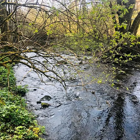 アパート 1zi Bis Zu 3 Personen Fuer Dienstreisende In Schwarzwald