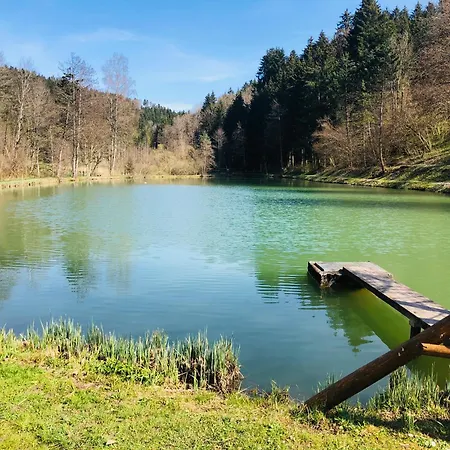 1zi Bis Zu 3 Personen Fuer Dienstreisende In Schwarzwald Apartment *
